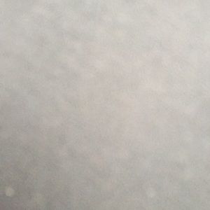 Meet your Posher, Darryl